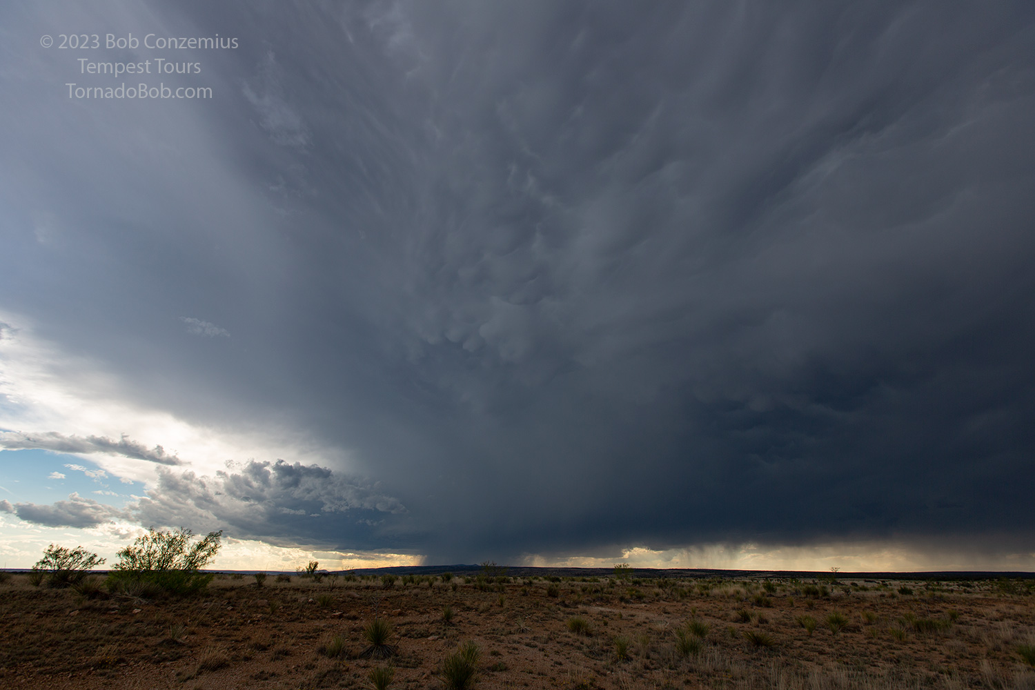 Storm