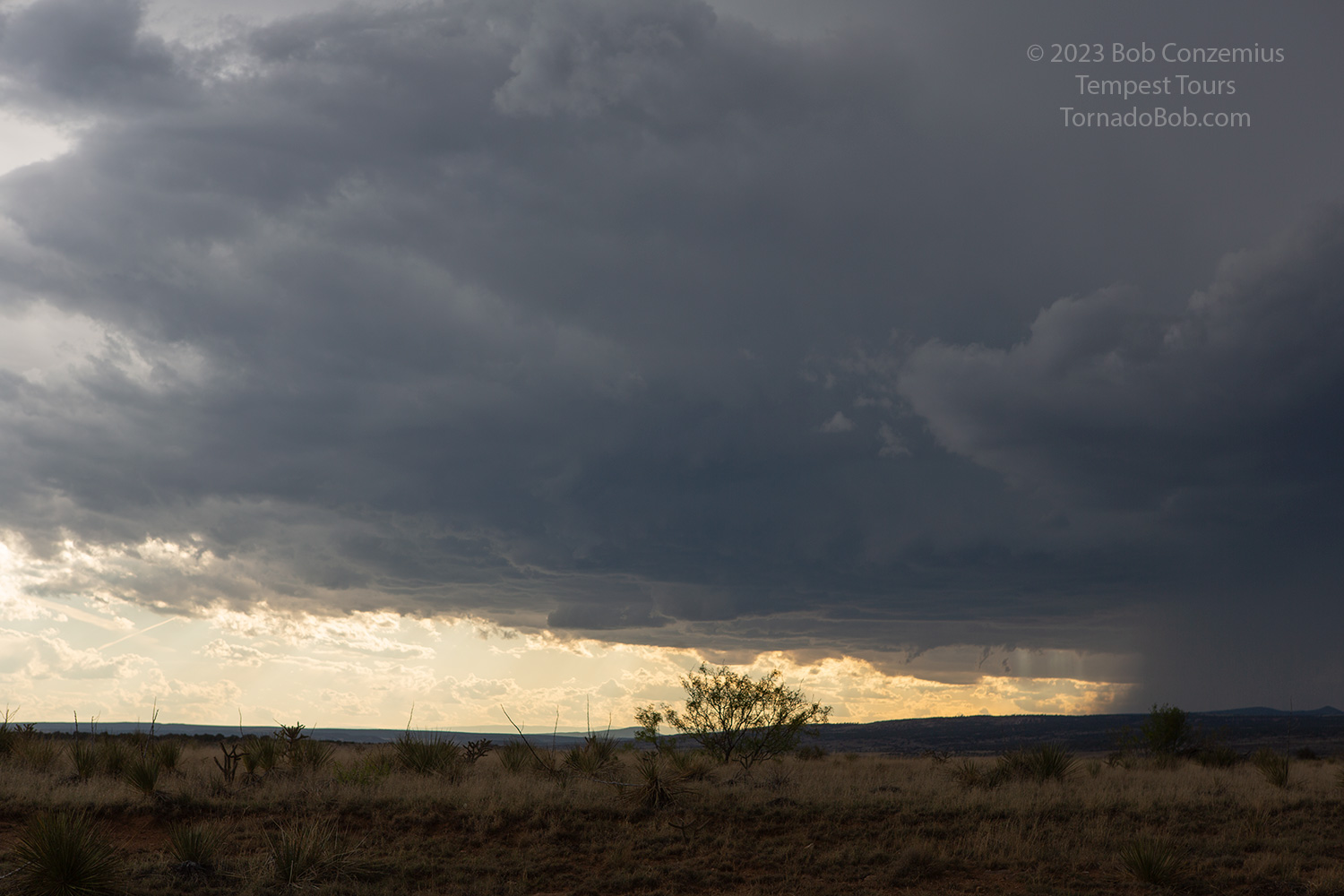 Storm