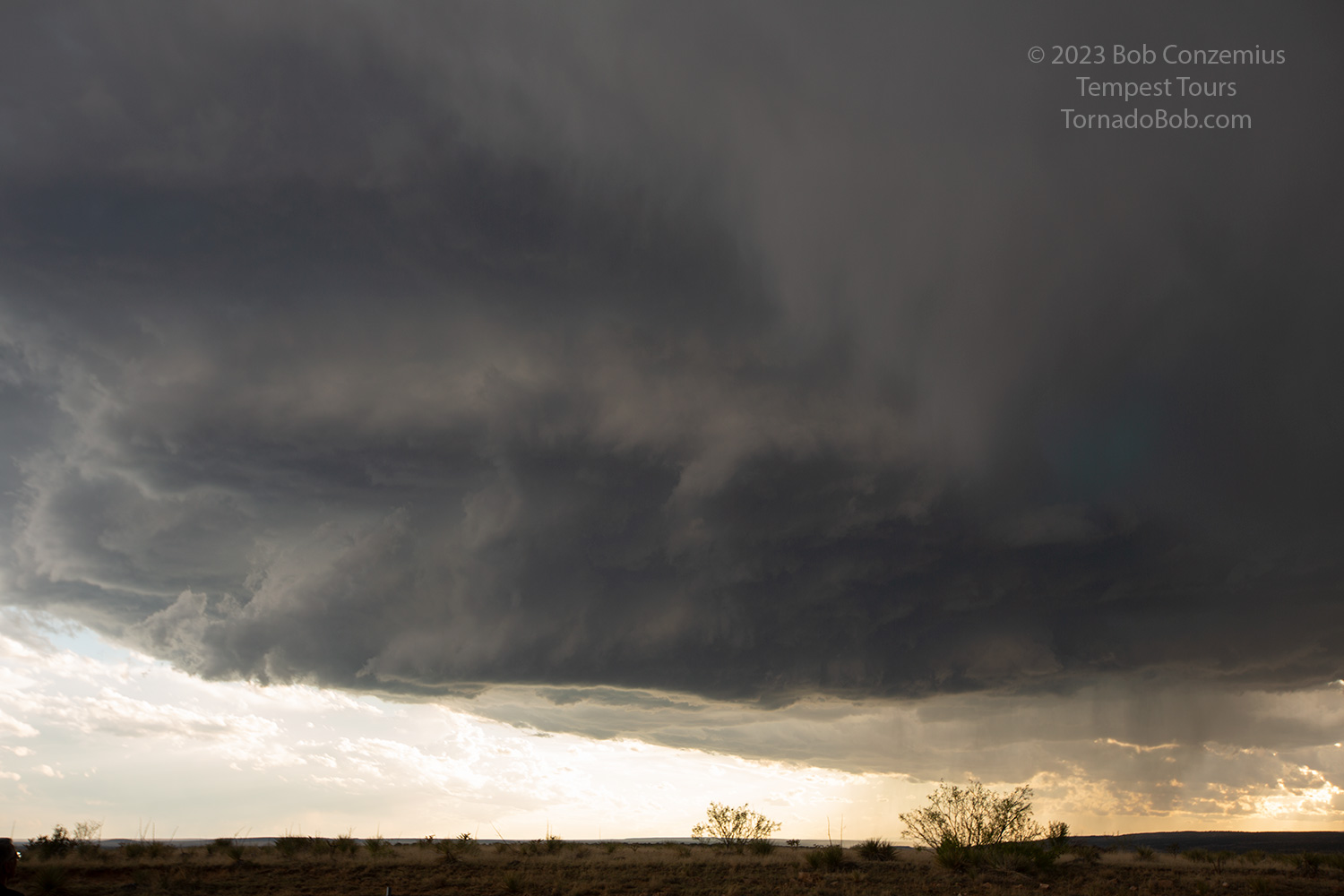Storm