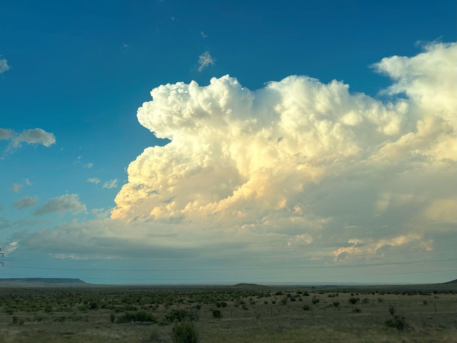 Storm