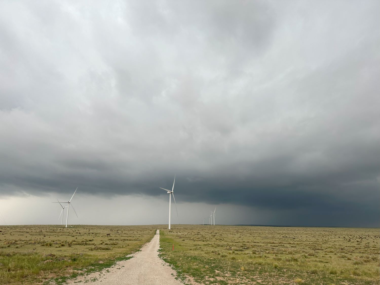 Storm