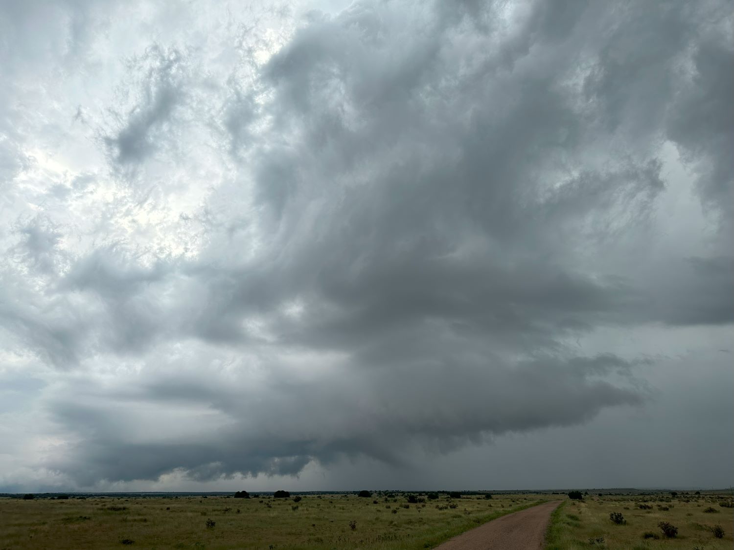 Storm