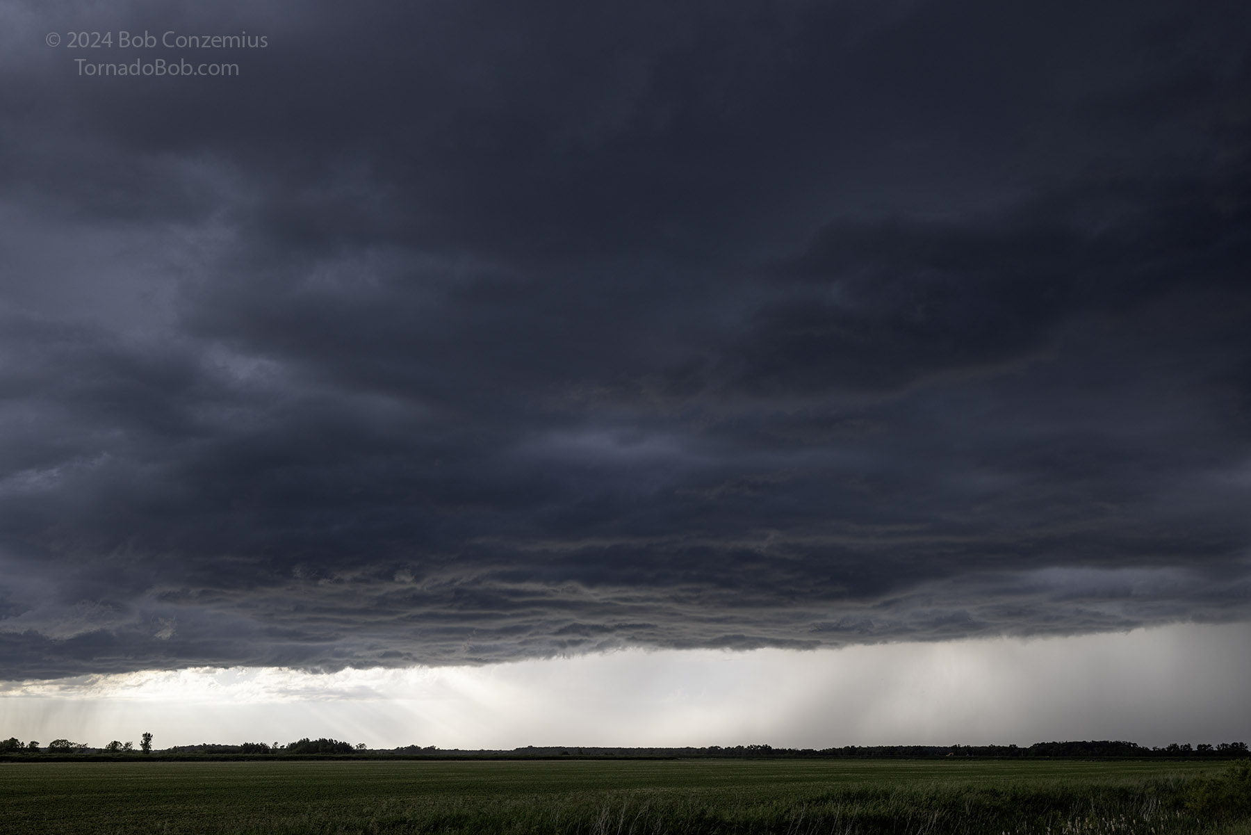 Storm
