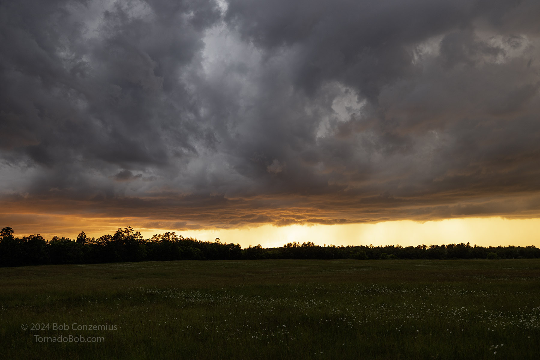 Storm
