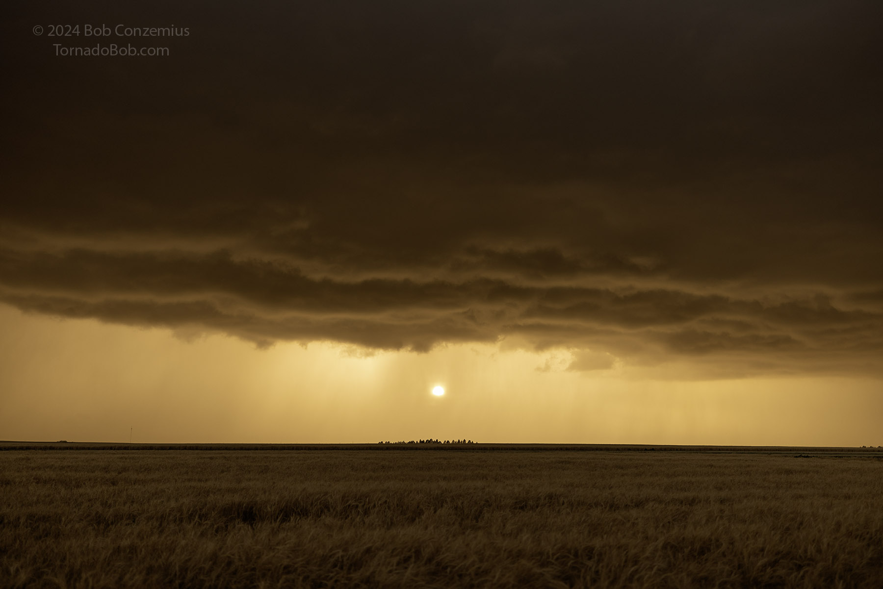 Storm