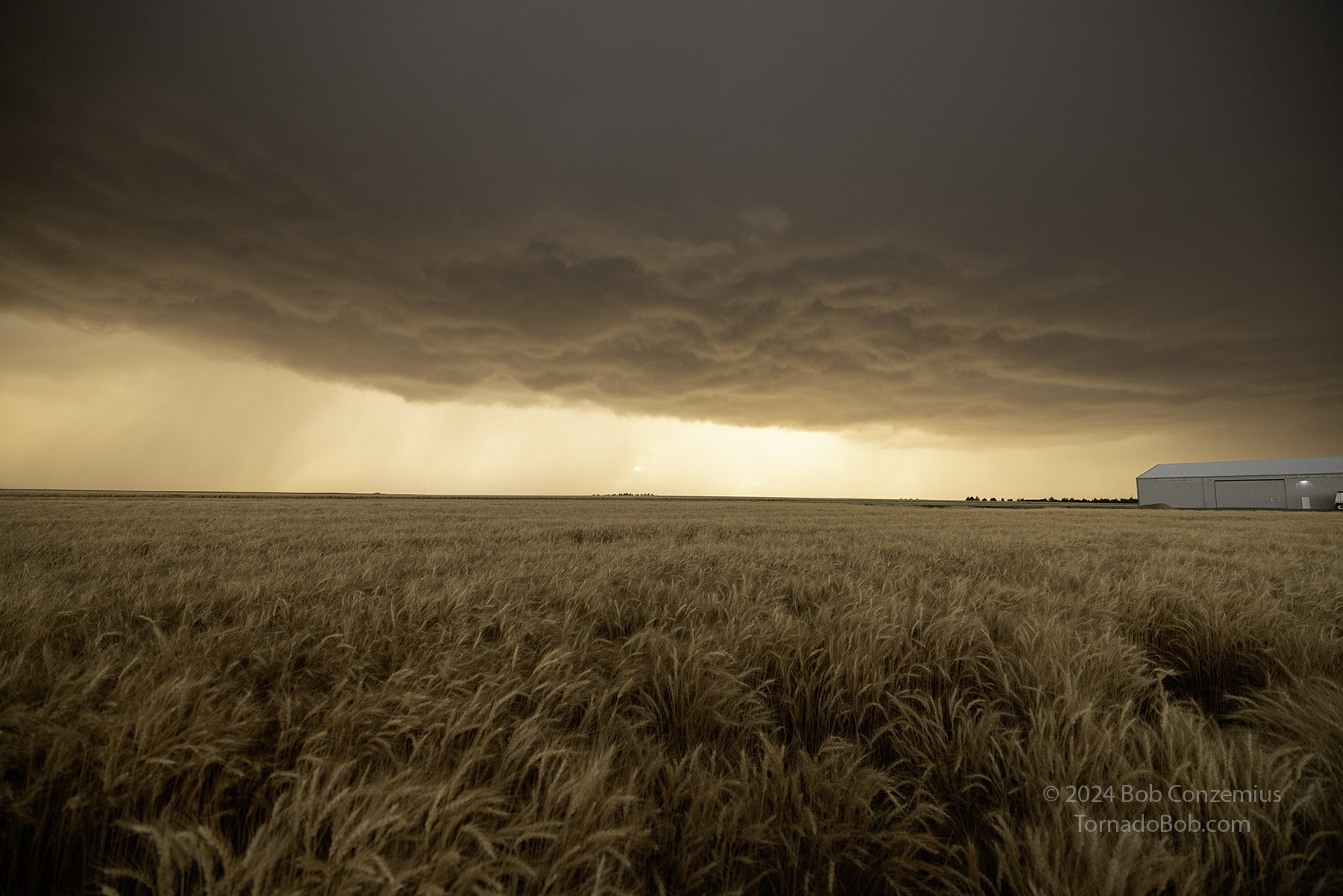 Storm