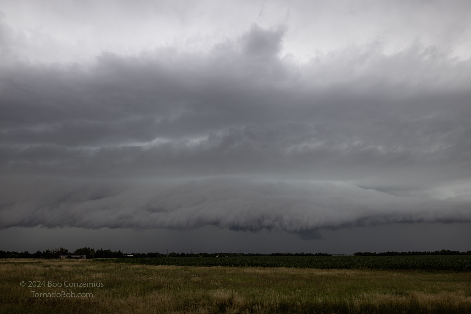 Storm