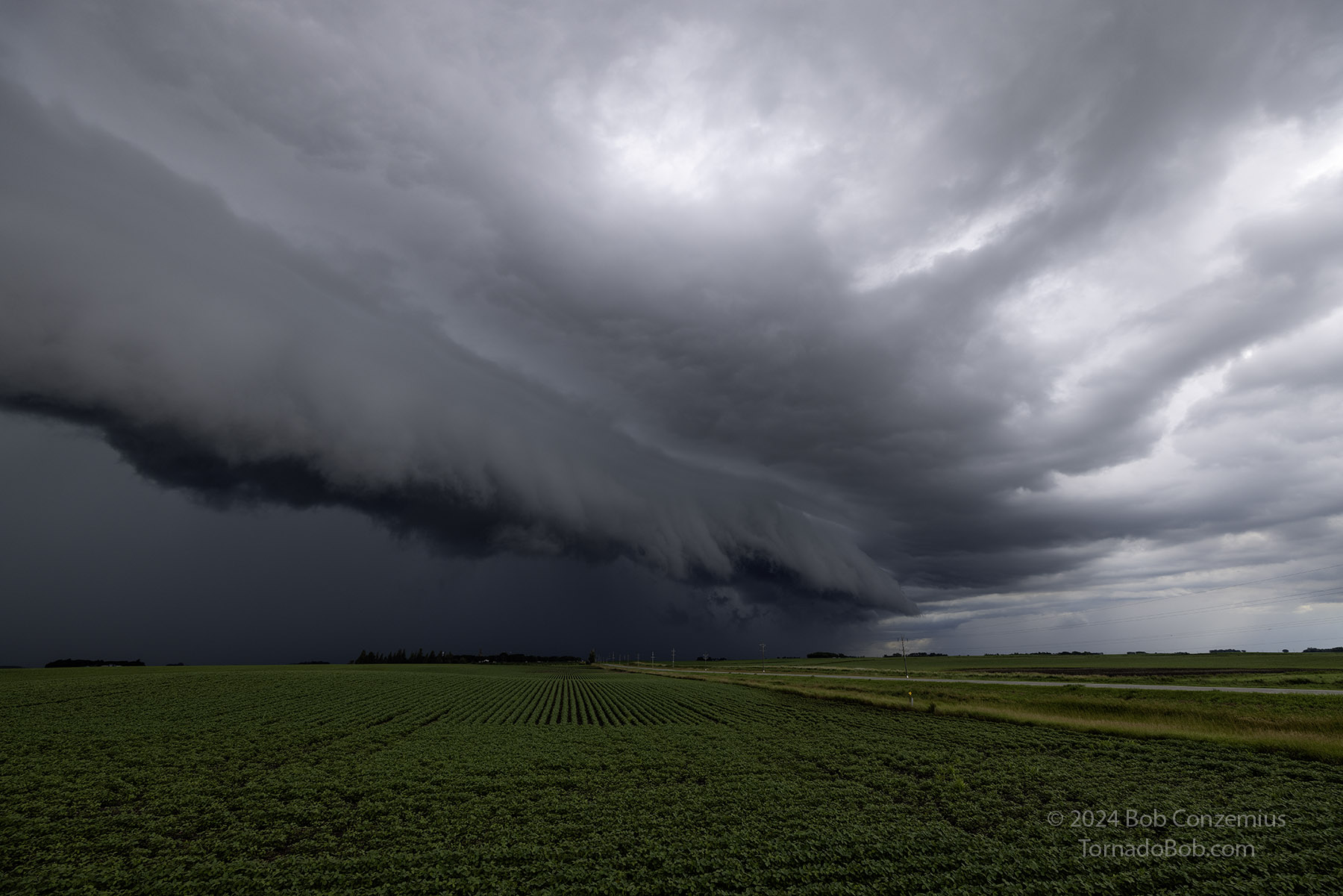 Storm