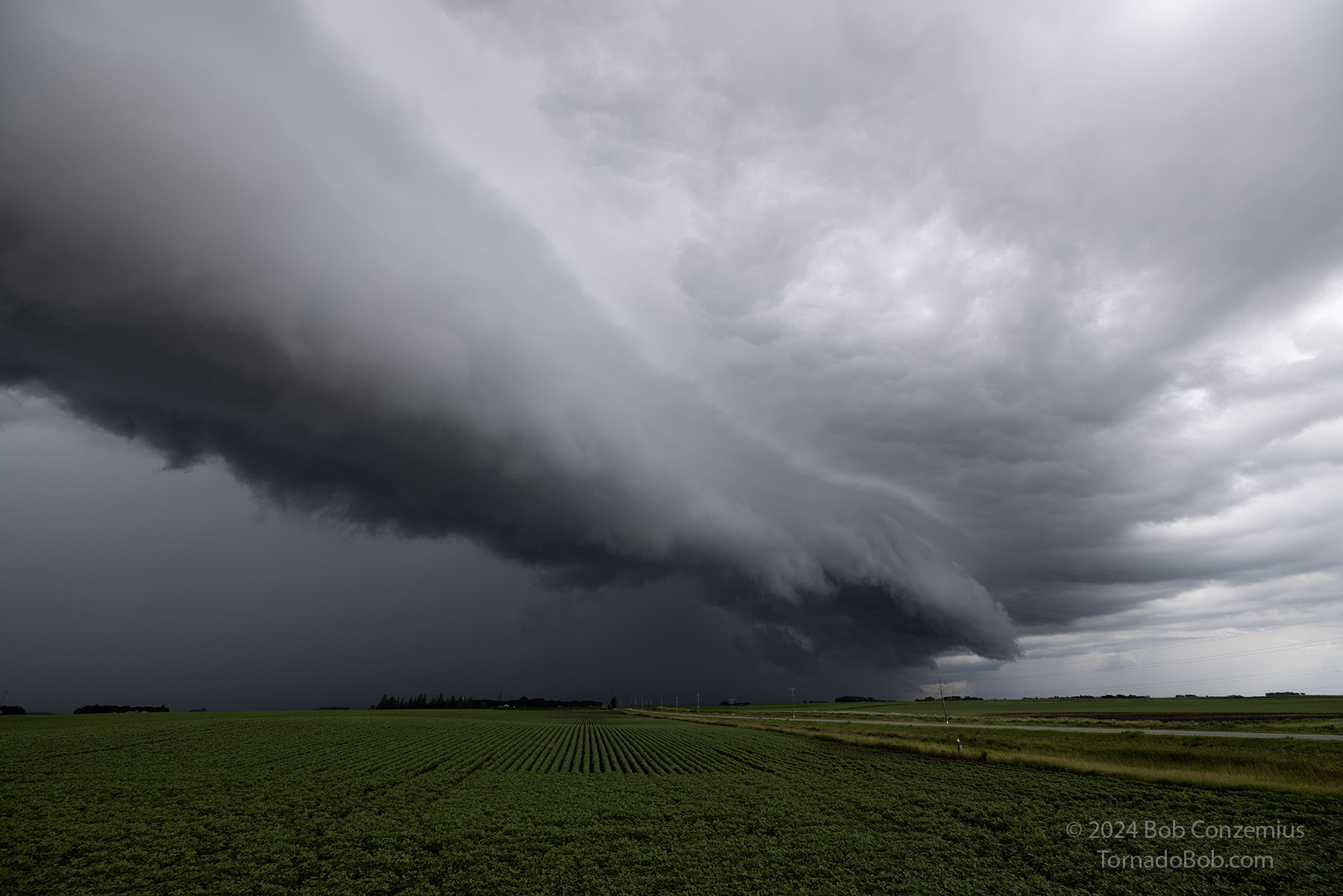 Storm
