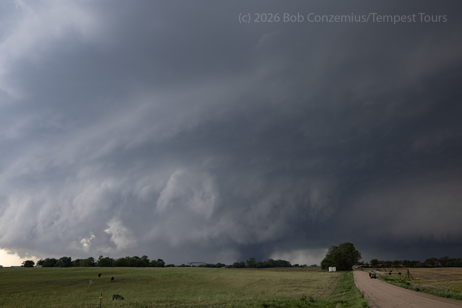 tornado and supercell