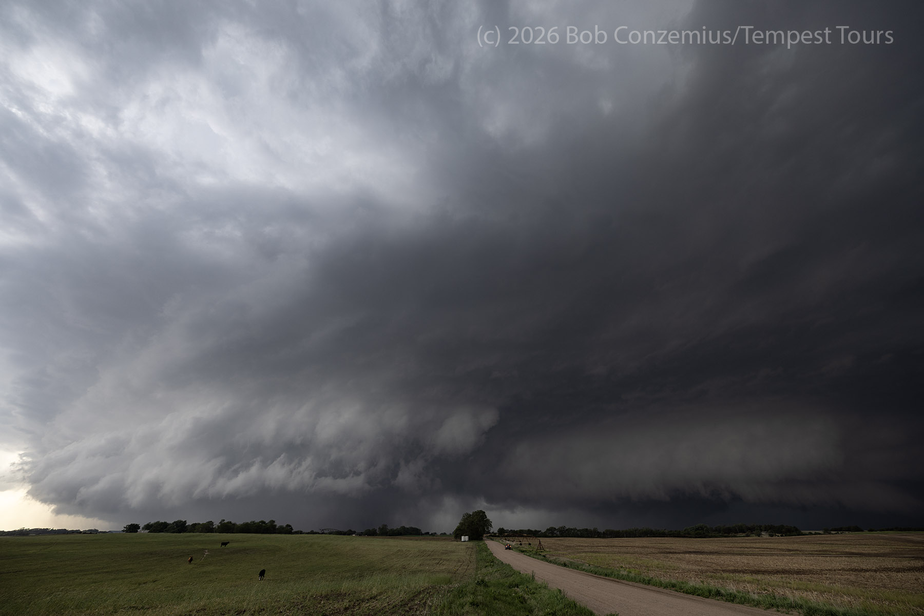 rain-wrapped tornado
