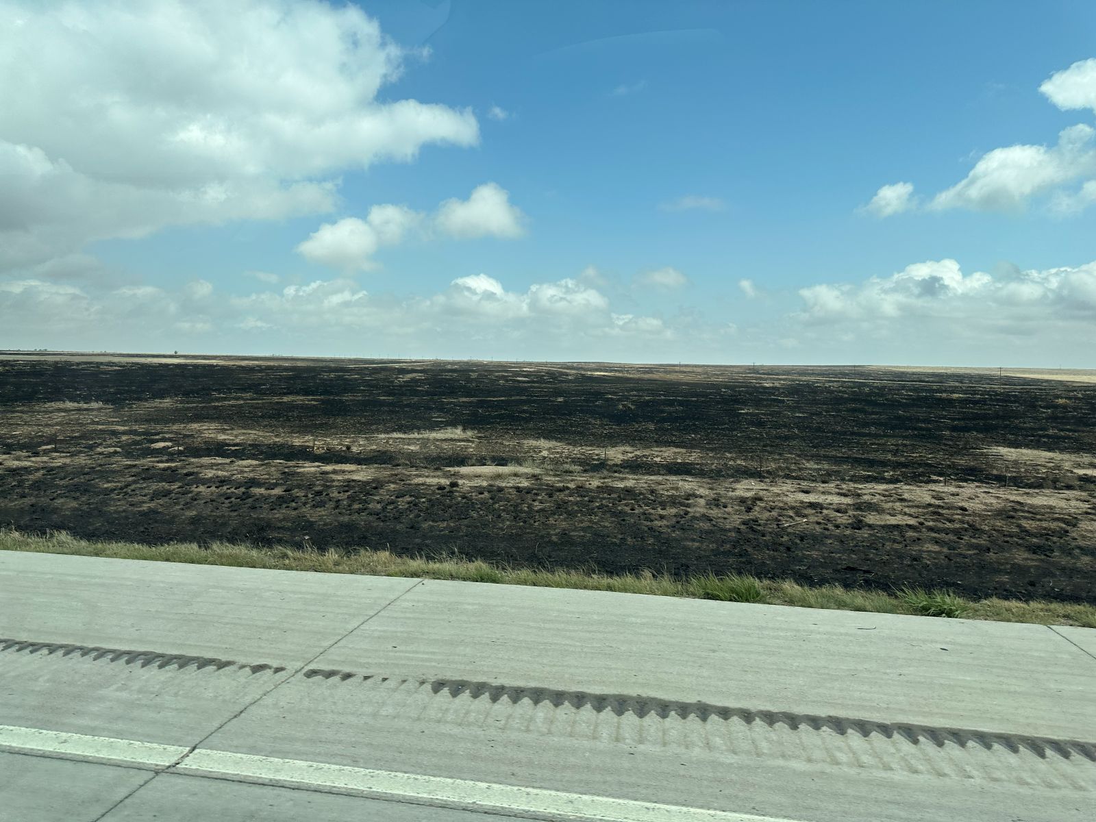 grass fire aftermath